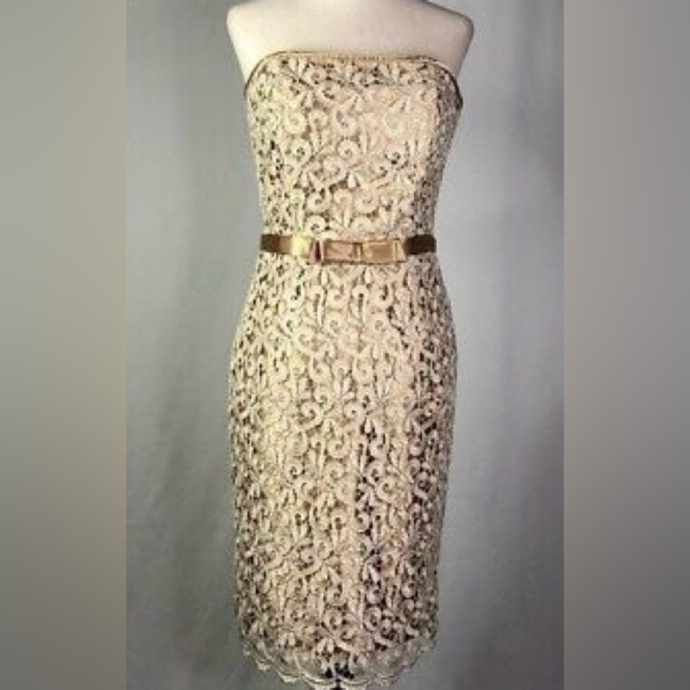 Jessica McClintock Strapless Lace Cocktail Dress in Champagne Gold Size 10
